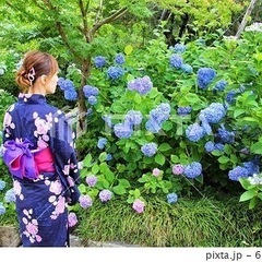 6月11日(火)みのかも健康の森 あじさいイベント(東海平日もカ...