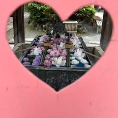 一緒に御朱印巡り行きませんか😊