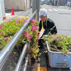 社宅　アルバイト　日払い　すぐ働ける　週３からOK　草むしり、枝...