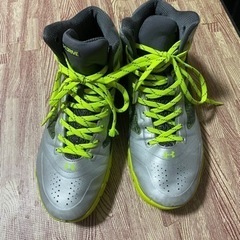 バッシュ