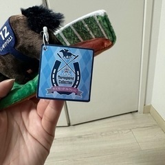 サラブレッドコレクション　の画像