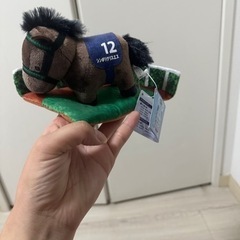 サラブレッドコレクション　の画像