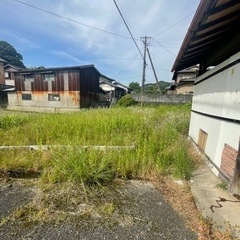 9日　日曜日　草刈りを手伝って下さい
