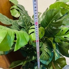 フェイクグリーン　観葉植物　モンステラの画像