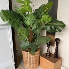 フェイクグリーン　観葉植物　モンステラの画像