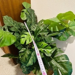 フェイクグリーン　観葉植物　モンステラの画像