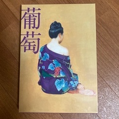 サザンオールスターズ　葡萄　DVD 【値下げしました】