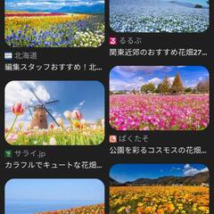 花の種お譲り頂けないでしょうか？