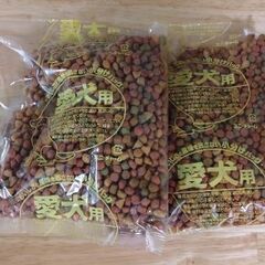 ドッグフード　セット
