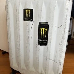 Mサイズキャリーケース