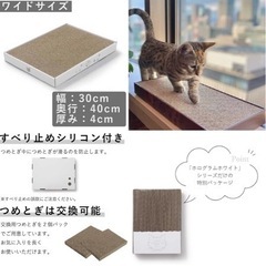 【新品未使用】猫壱　バリバリパッドワイド　ホログラムホワイト　爪とぎ　交換用パッド付きの画像