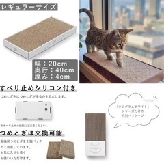 【新品未使用】猫壱　バリバリパッドレギュラー　ホログラムホワイト　爪とぎ　交換用パッド付きの画像