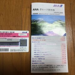 ANAグループ優待券＆冊子😃