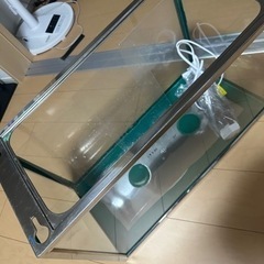 大きめの水槽