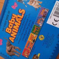 アメリカ　絵本　Baby　ANIMALSの画像