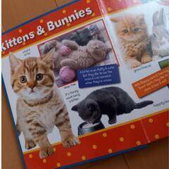 アメリカ　絵本　Baby　ANIMALSの画像