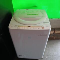 家電 生活家電 洗濯機