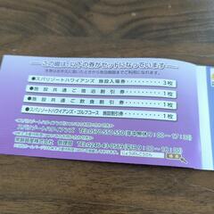 スパリゾートハワイアンズ 入場券の画像