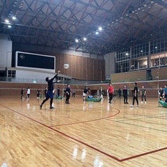 ソフトバレーボール仲間募集( ¨̮ ) - 高知市