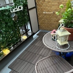 目隠しグリーンカーテン