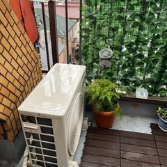 目隠しグリーンカーテンの画像
