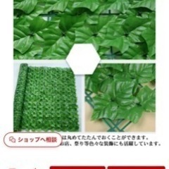 目隠しグリーンカーテンの画像