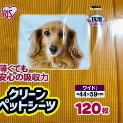 ペットシート　　オムツ