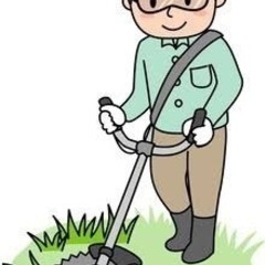 剪定・草刈りお任せください！横浜・川崎限定でお請け致します！