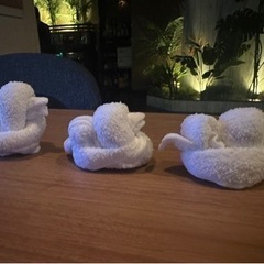 夏だ！！