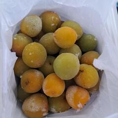 残りわずか　冷凍南高梅　自然キズあり