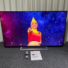 TOSHIBA REGZA 2018年製 65型 液晶テレビ 65M520X 東芝 レグザ　