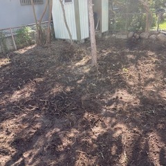 お庭の抜根と地ならし