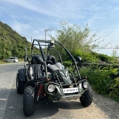 PUG バグライダー　実働　超希少