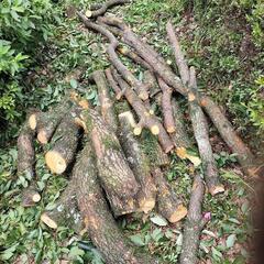 焚火　薪ストーブ用　薪の画像