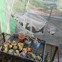 家具 インテリア雑貨/小物 花瓶
