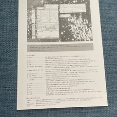 ハイデザイン 婚姻届 「 レインボー」3枚セット＜令和版＞の画像