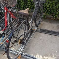 ELEANOR 自転車