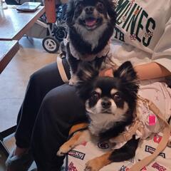 犬友さん募集です🐶🐶