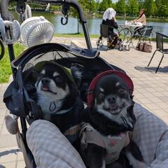 犬友さん募集です🐶🐶 - 友達