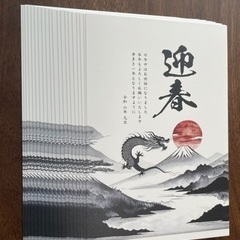 年賀状 2024 20枚入り 私製