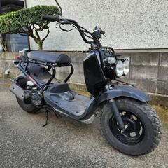 ズーマー　バッテリーオイル交換済　ノーマル　千葉県より　配達可能！
