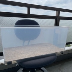 白い砂4.2kgの画像