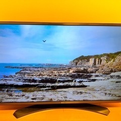 家電 テレビ 液晶テレビ