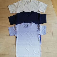 ユニクロ 140cm ドライTシャツ
