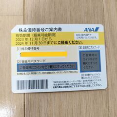 ANA株主優待１枚【2024年11月末期限】