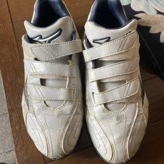 スポーツ 野球