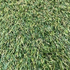 人工芝　1M×2Mの画像