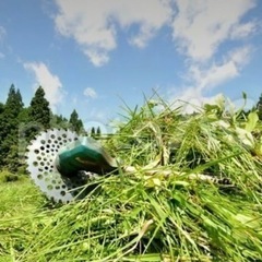 草刈りや除草剤