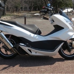 バイク ホンダpcx125 jf56 6/8中に締め切ります