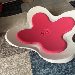 差し上げます　
オアシス監修　エクササイズグッズの画像